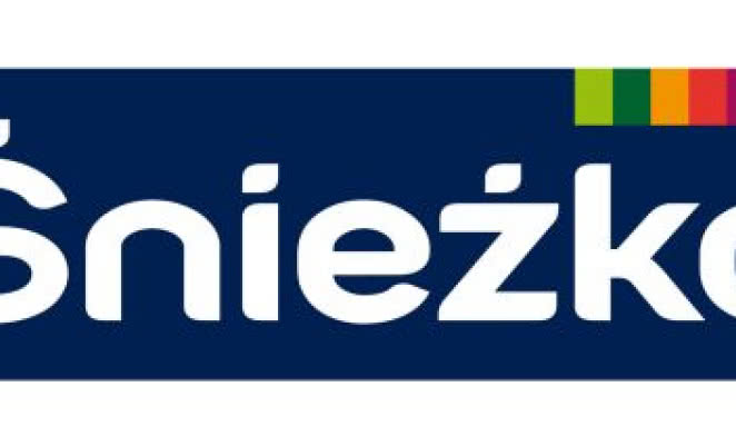 Raport Śnieżki za 2015 rok